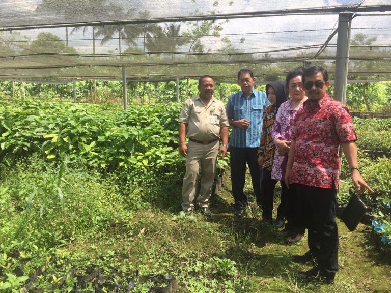 Kebun Benih Noborejo Harus Perhatikan Sertifikasi Bibit Tanaman