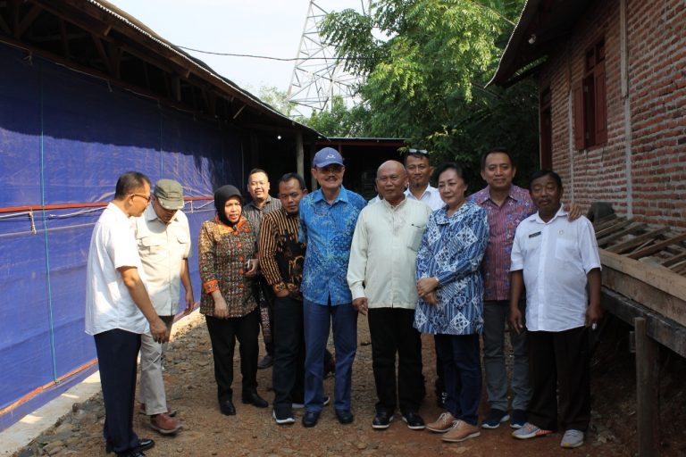Tata Niaga Ayam Potong Perlu Diperketat