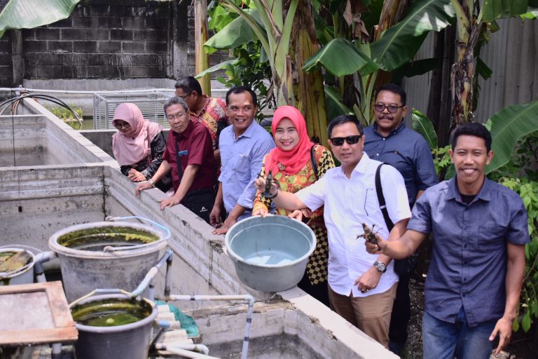 Budidaya Ikan Air Tawar di Jateng Perlu Ditingkatkan