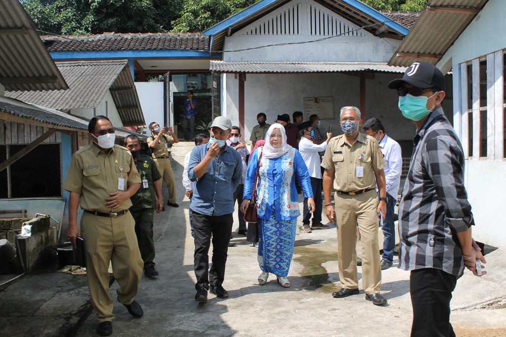 Masyarakat Wajib Tahu Bibit Ternak Unggulan