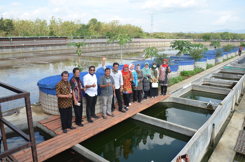 Petani di Bendosari Ubah Lahan Kritis Jadi Pertanian Produktif