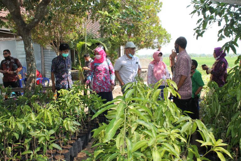 Komisi B Prihatinkan Kondisi Kebun Benih Tejomantri