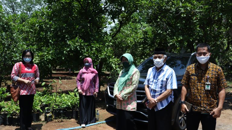 Kebun Benih Kantosari Jadi Dorongan Peningkatan PAD