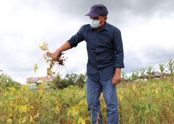 Hasilkan Produk Unggulan, Kebun Benih Perlu Riset & Penelitian