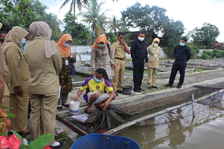 Fungsi Laboratorium Kesehatan Ikan Dioptimalkan