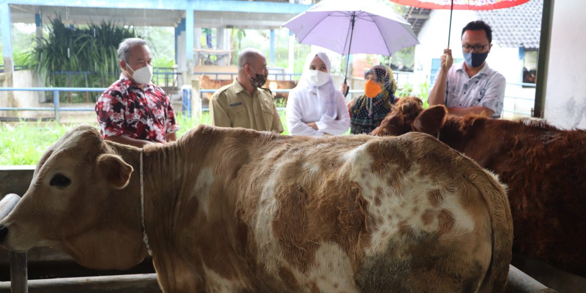 BBPTT Perlu Efektifkan Kinerja untuk Masyarakat