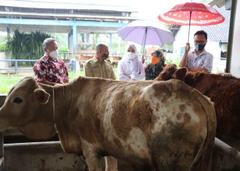 BBPTT Perlu Efektifkan Kinerja untuk Masyarakat