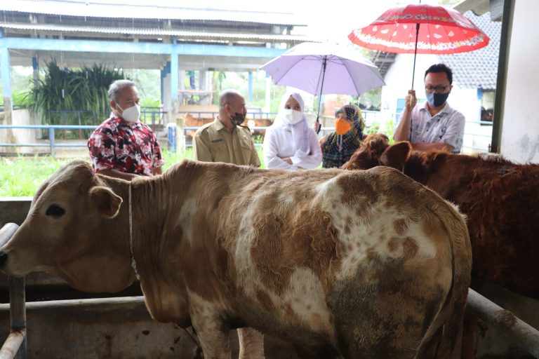 BBPTT Perlu Efektifkan Kinerja untuk Masyarakat
