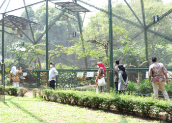 Promosi Wisata Jateng di TMII Perlu Lebih Digencarkan