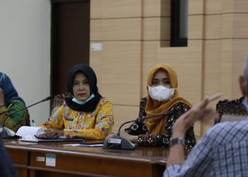 Brebes Perlu Turunkan Angka Pernikahan Usia Dini & Kekerasan terhadap Anak