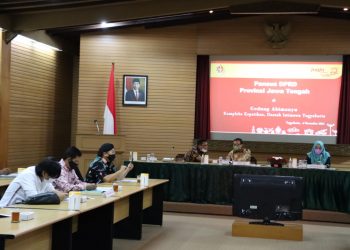 Pansus Berharap Penataan SOTK Lebih Efektif & Efisien