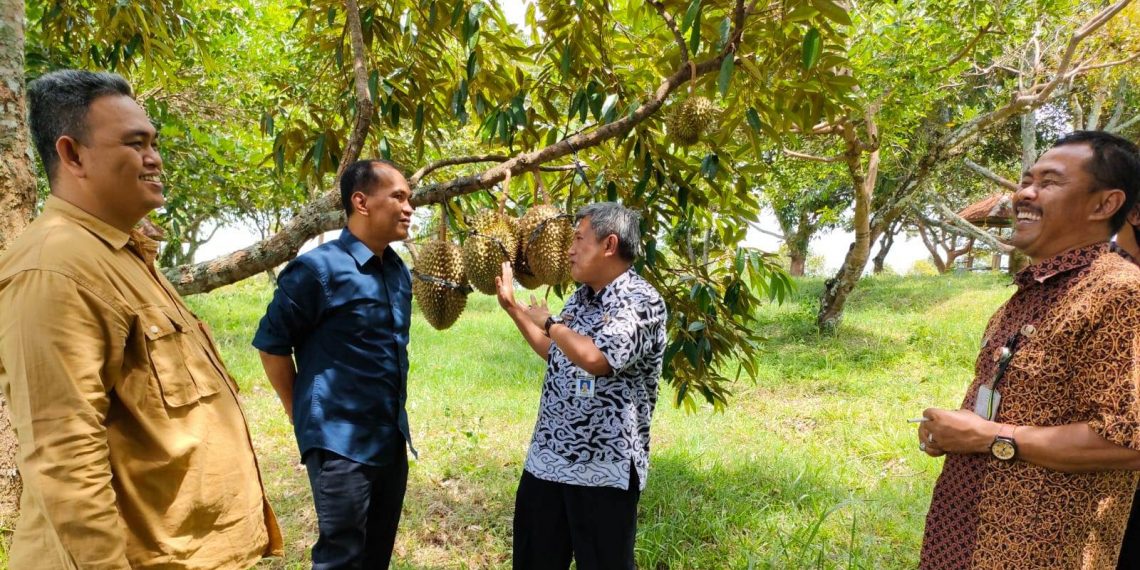 Balai Benih Harus Hasilkan Benih Unggulan Pertanian