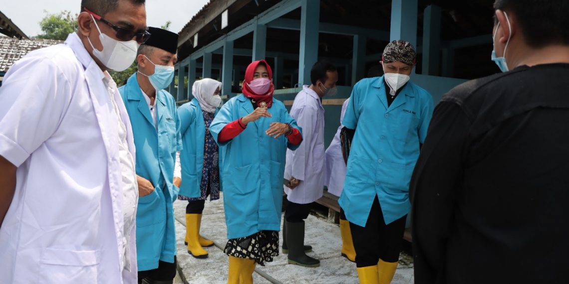 Peternakan di BIB Ungaran Utamakan Kualitas