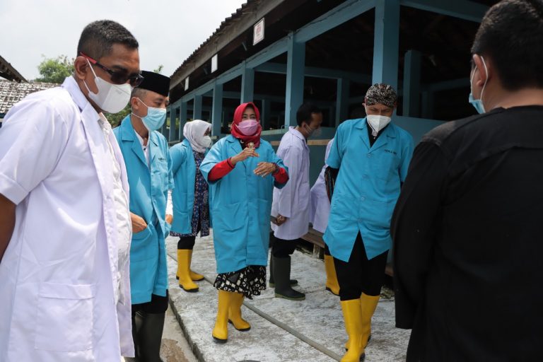 Peternakan di BIB Ungaran Utamakan Kualitas
