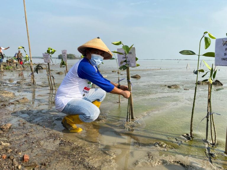 Jaga Pesisir dari Abrasi, DPRD Dukung Penanaman Mangrove