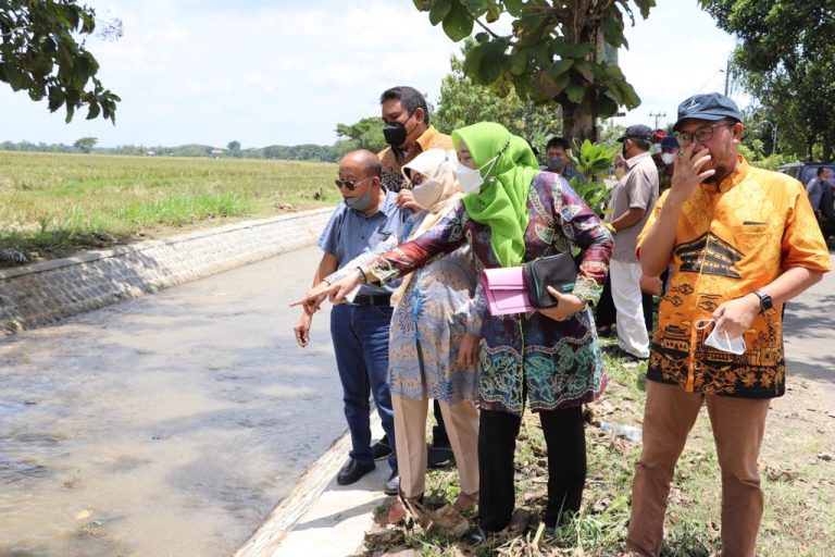 Disorot, Pemeliharaan Proyek Irigasi Bonggo Sragen
