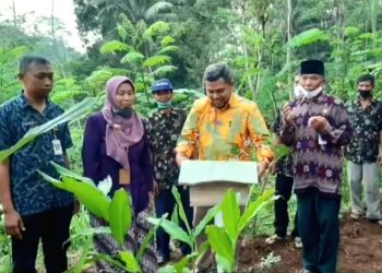 DPRD Dukung Produksi Madu Klanceng Banjarnegara