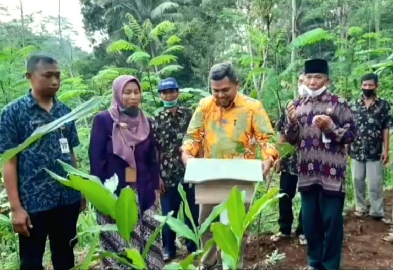 DPRD Dukung Produksi Madu Klanceng Banjarnegara