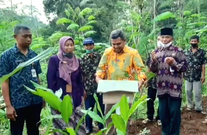 DPRD Dukung Produksi Madu Klanceng Banjarnegara
