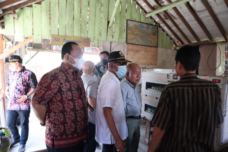 Hemat Listrik, Peternak Itik Margadana Tegal Gunakan Panel Surya