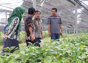 Kebun Benih Noborejo Salatiga Fokus Fungsi Sosial