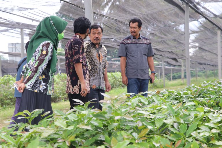 Kebun Benih Noborejo Salatiga Fokus Fungsi Sosial