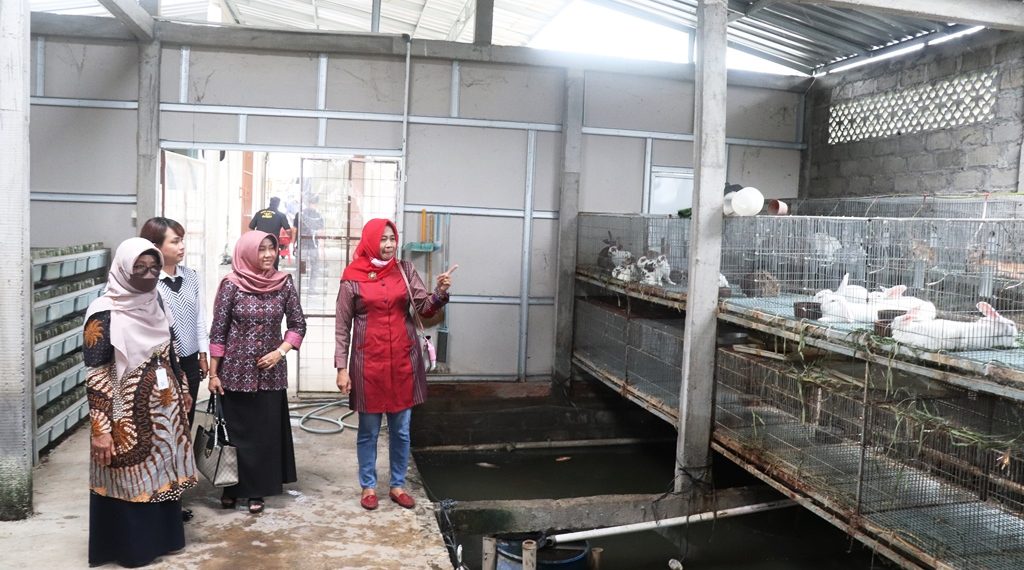 Penangkaran Burung Jalak Bali Bisa Dikembalikan pada Habitatnya