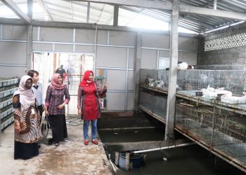 Penangkaran Burung Jalak Bali Bisa Dikembalikan pada Habitatnya