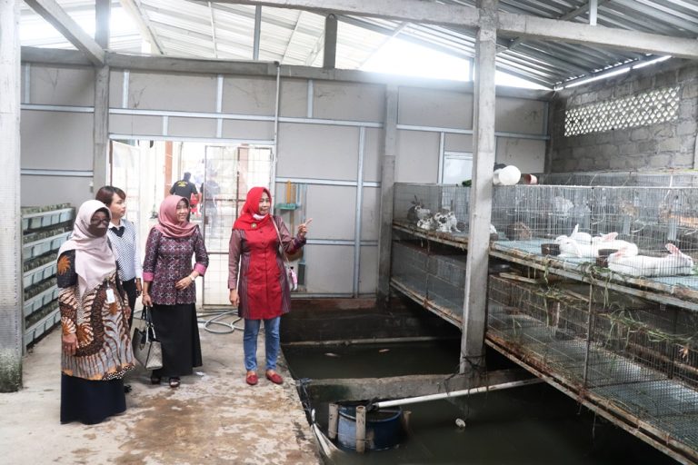 Penangkaran Burung Jalak Bali Bisa Dikembalikan pada Habitatnya