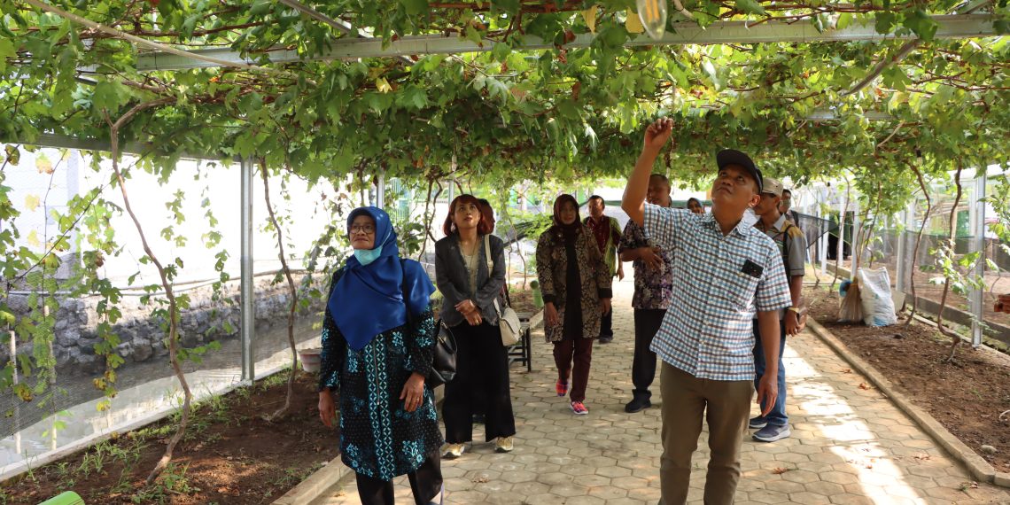 BUMDes Harus Profesional Kelola Desa Wisata