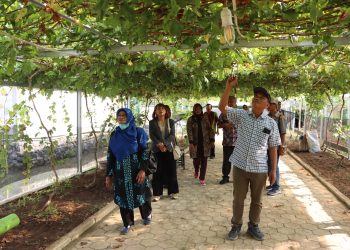 BUMDes Harus Profesional Kelola Desa Wisata