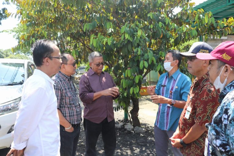 Komisi D Pantau PJU Solar Cell di Sragen