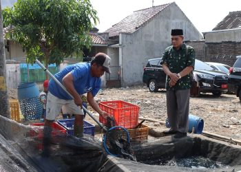 Berkembang, Produk Olahan Lele di Tegalrejo Boyolali