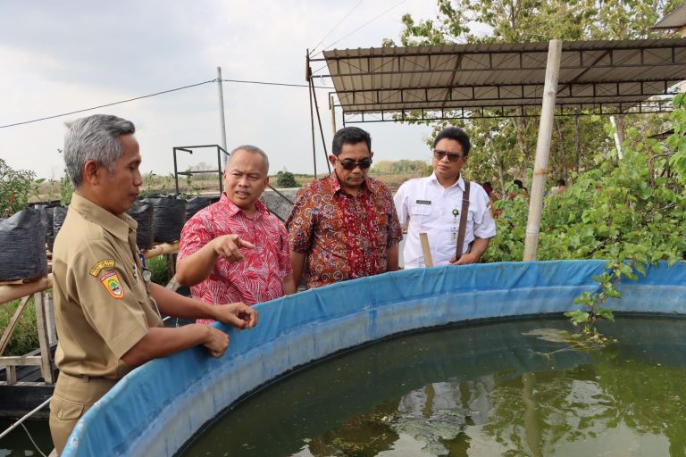 Kedaulatan Pangan Perlu Pertanian yang Terintegrasi