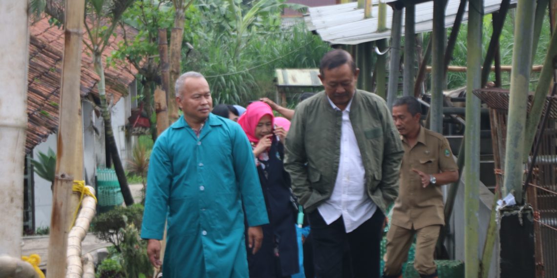 Stok dan Kualitas Pakan Ternak Jadi Kajian Isi Raperda Ketahanan Pangan
