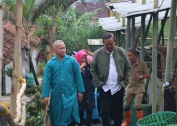 Stok dan Kualitas Pakan Ternak Jadi Kajian Isi Raperda Ketahanan Pangan