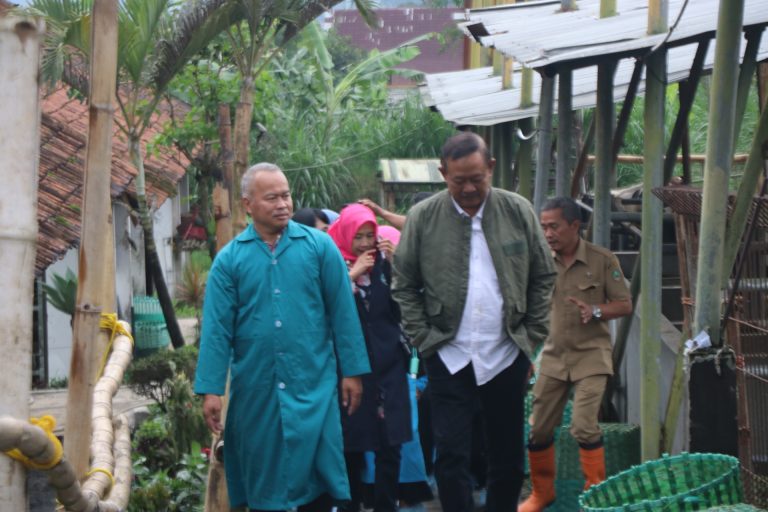 Stok dan Kualitas Pakan Ternak Jadi Kajian Isi Raperda Ketahanan Pangan