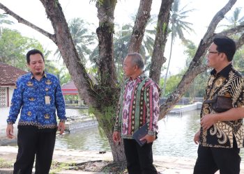 Komisi B Dorong Budi Daya Ikan Air Payau