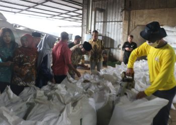 Komisi B Melihat Produksi Pakan Konsentrat ‘Nutrifeed’ di Ceper