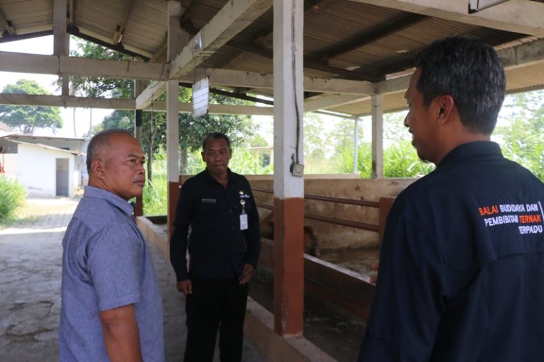 Komisi B Dorong Pengembangbiakan Ayam Lokal