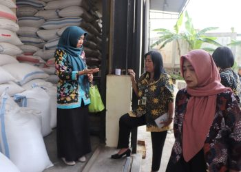 Stock Opname Cadangan Pangan Masih Tersedia