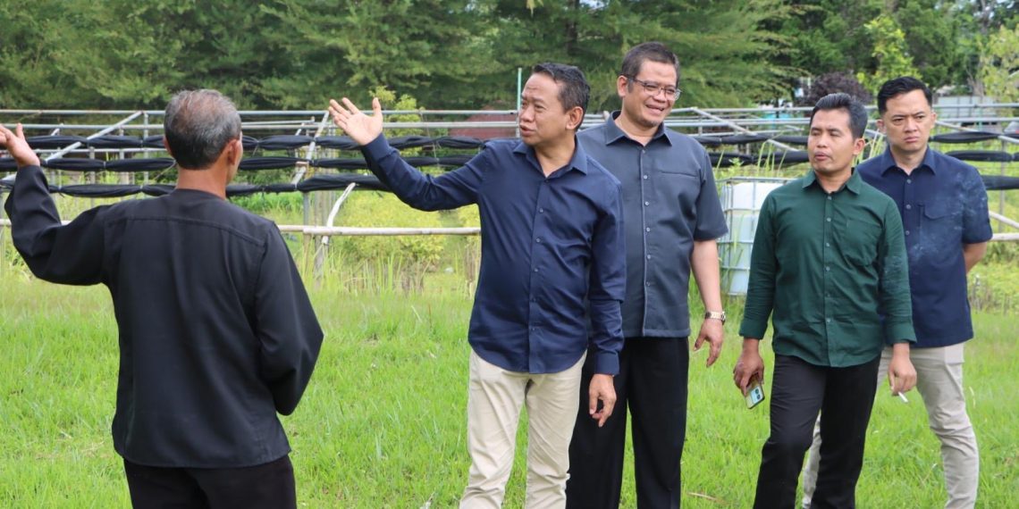 Tingkatkan Kontribusi PAD, Kebun Benih TPH Pendem Karanganyar Butuh Pengembangan