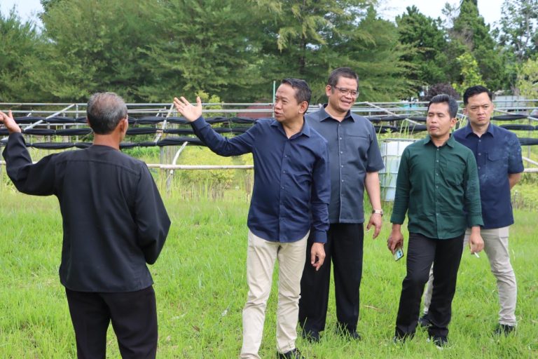 Tingkatkan Kontribusi PAD, Kebun Benih TPH Pendem Karanganyar Butuh Pengembangan