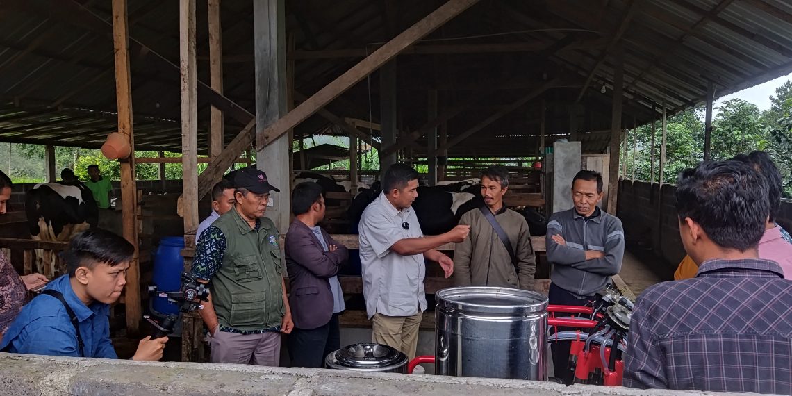 Saleh Yakin Kualitas Susu Sapi Desa Pacet Sudah Teruji
