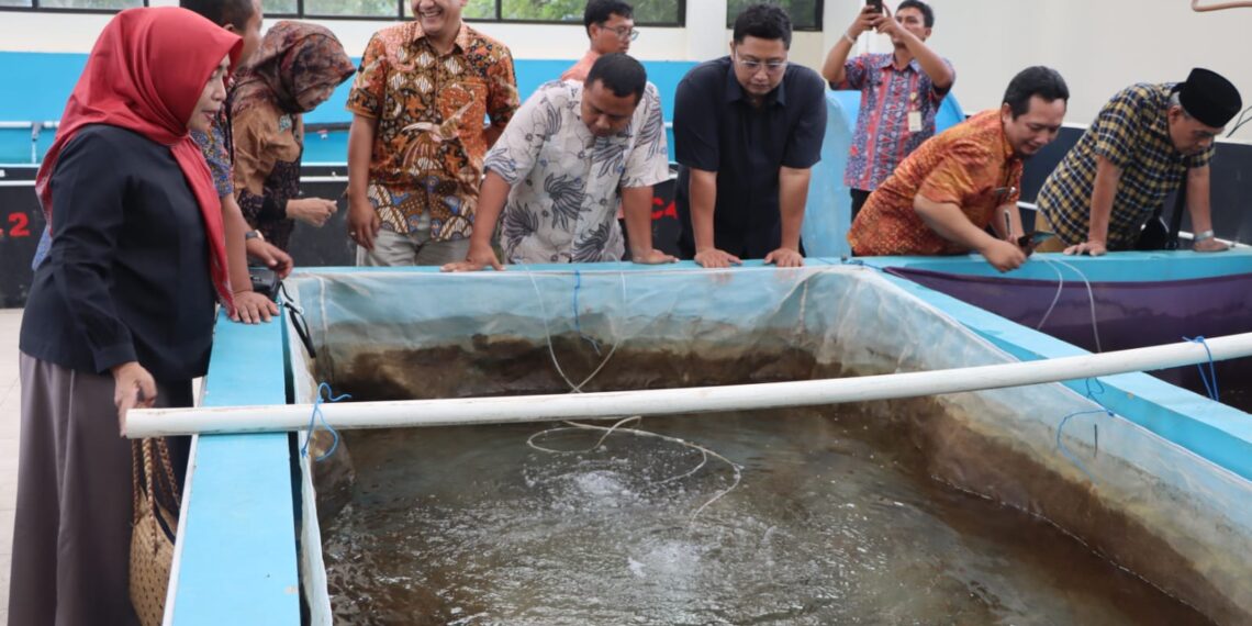 Dorong Pengembangan Bibit Ikan Beong di Loka Ngrajek
