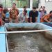 Dorong Pengembangan Bibit Ikan Beong di Loka Ngrajek