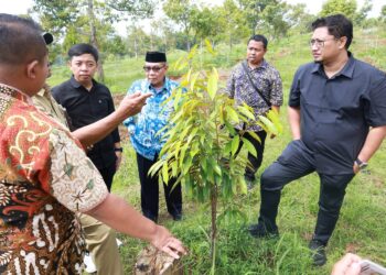 Tumbuh Memprihatinkan, Komisi B Ingin Kebun Benih Pendem Butuh Perhatian Serius