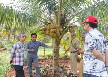 Tingkatkan PAD, Sewa Lahan milik Distanbun Perlu Dioptimalkan