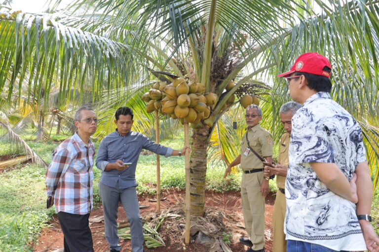 Tingkatkan PAD, Sewa Lahan milik Distanbun Perlu Dioptimalkan