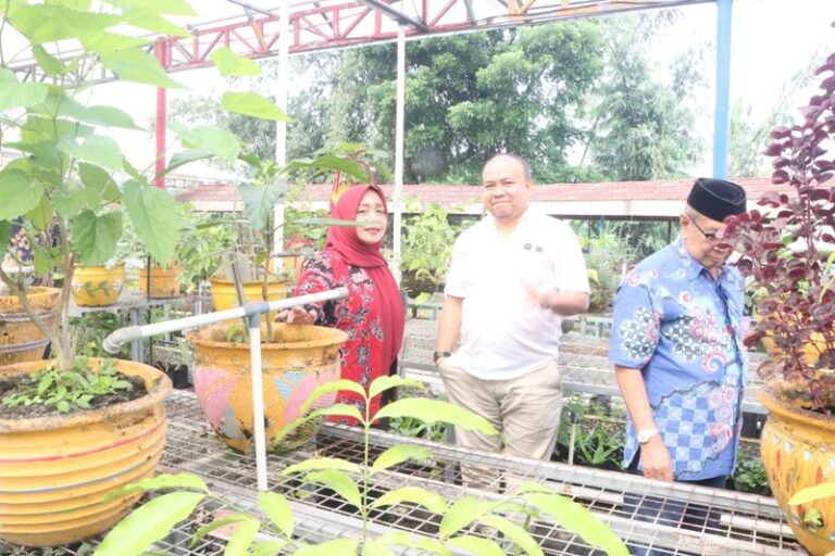 Tanaman Herbal Layak Disosialisasikan kepada Masyarakat